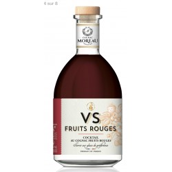 VS Fruits Rouges